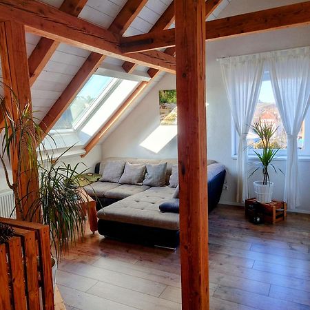 Weinblick Daire Besigheim Dış mekan fotoğraf
