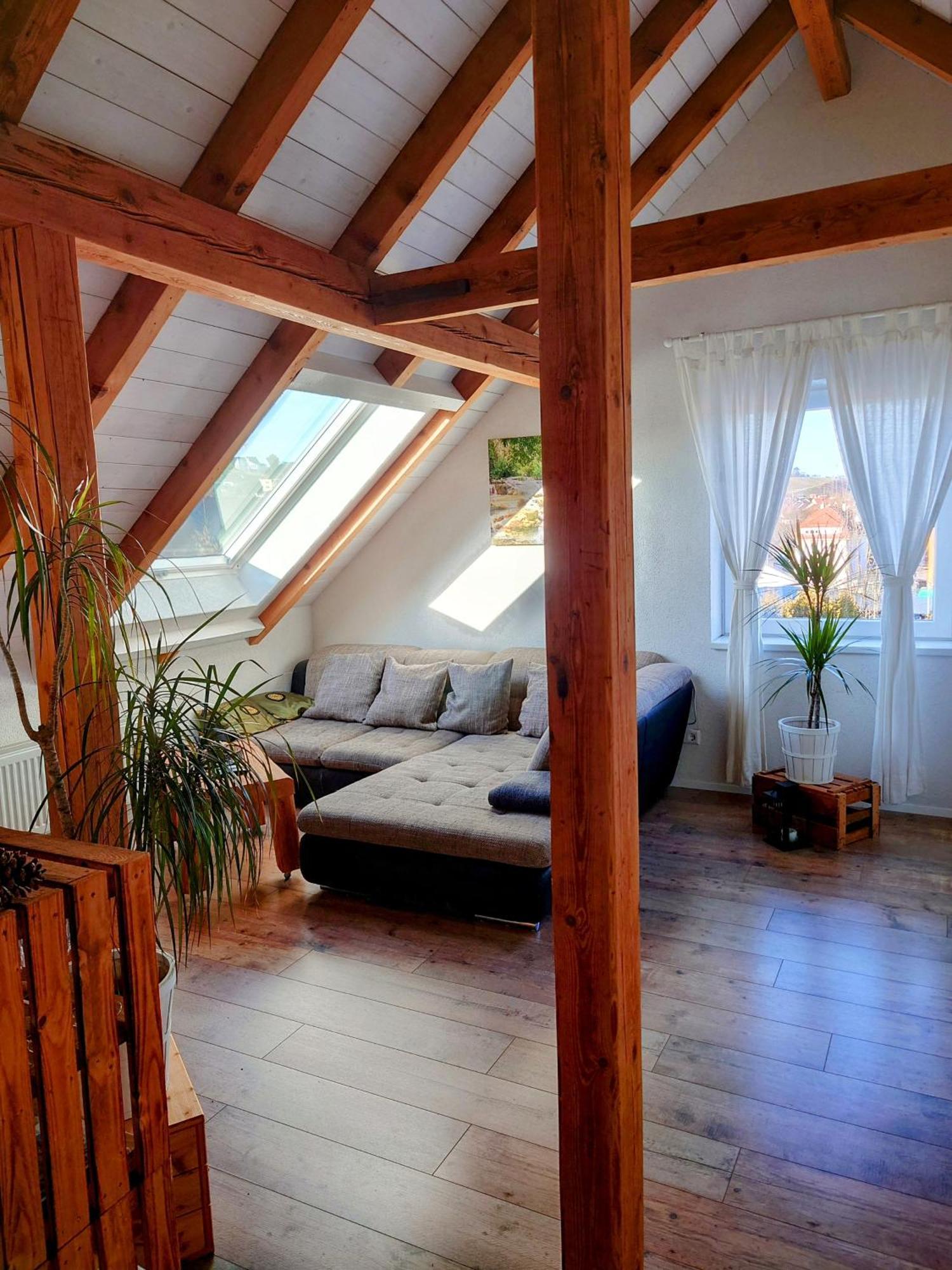 Weinblick Daire Besigheim Dış mekan fotoğraf