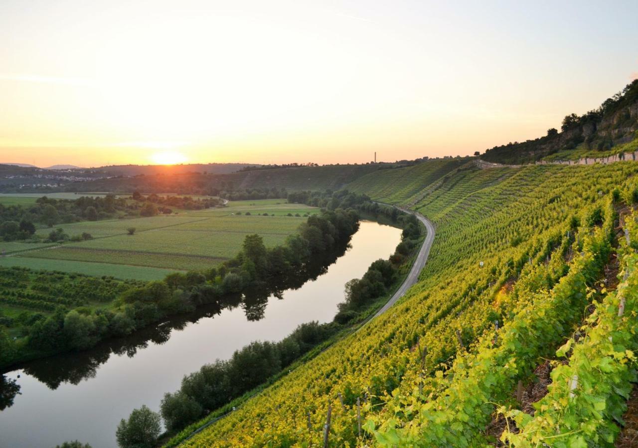 Weinblick Daire Besigheim Dış mekan fotoğraf