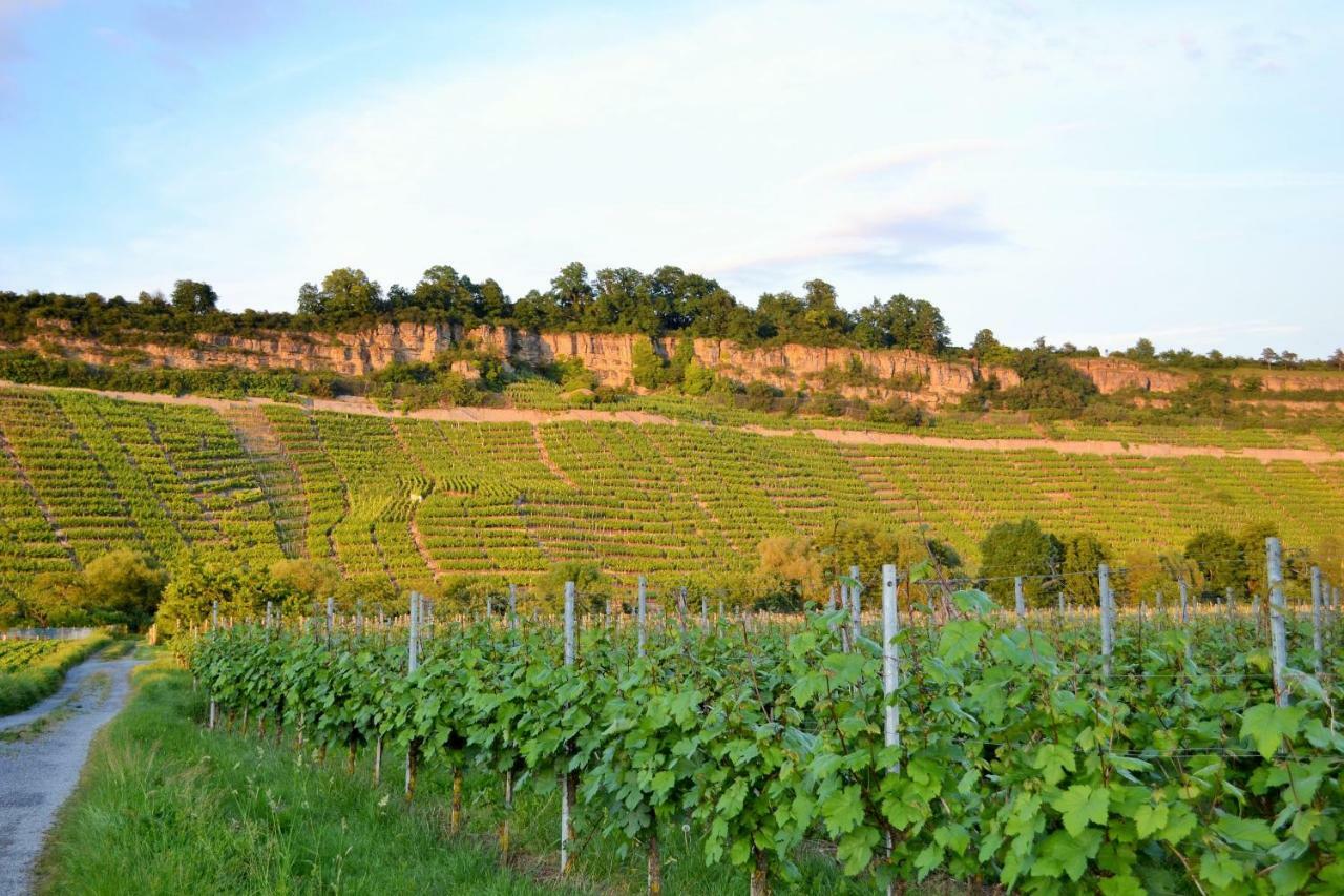 Weinblick Daire Besigheim Dış mekan fotoğraf