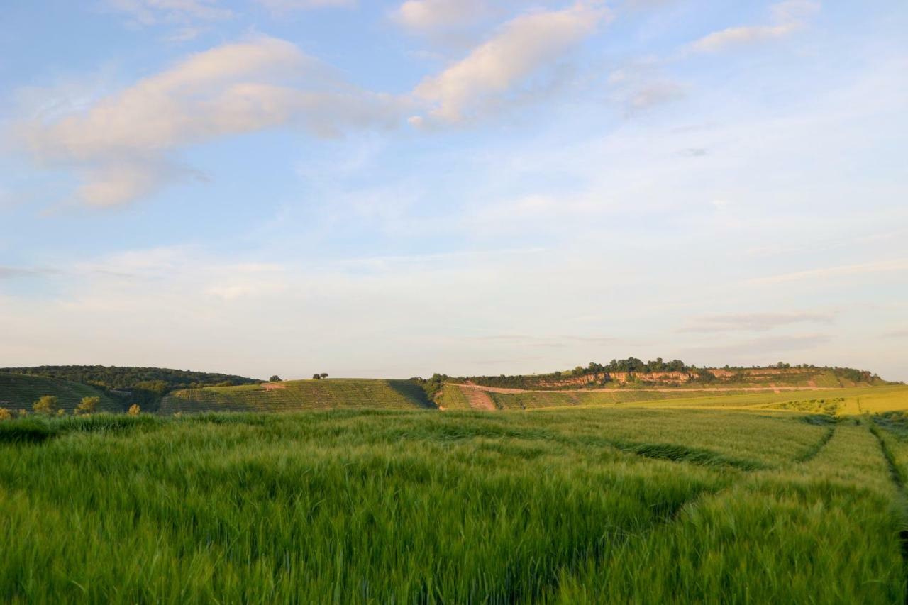 Weinblick Daire Besigheim Dış mekan fotoğraf