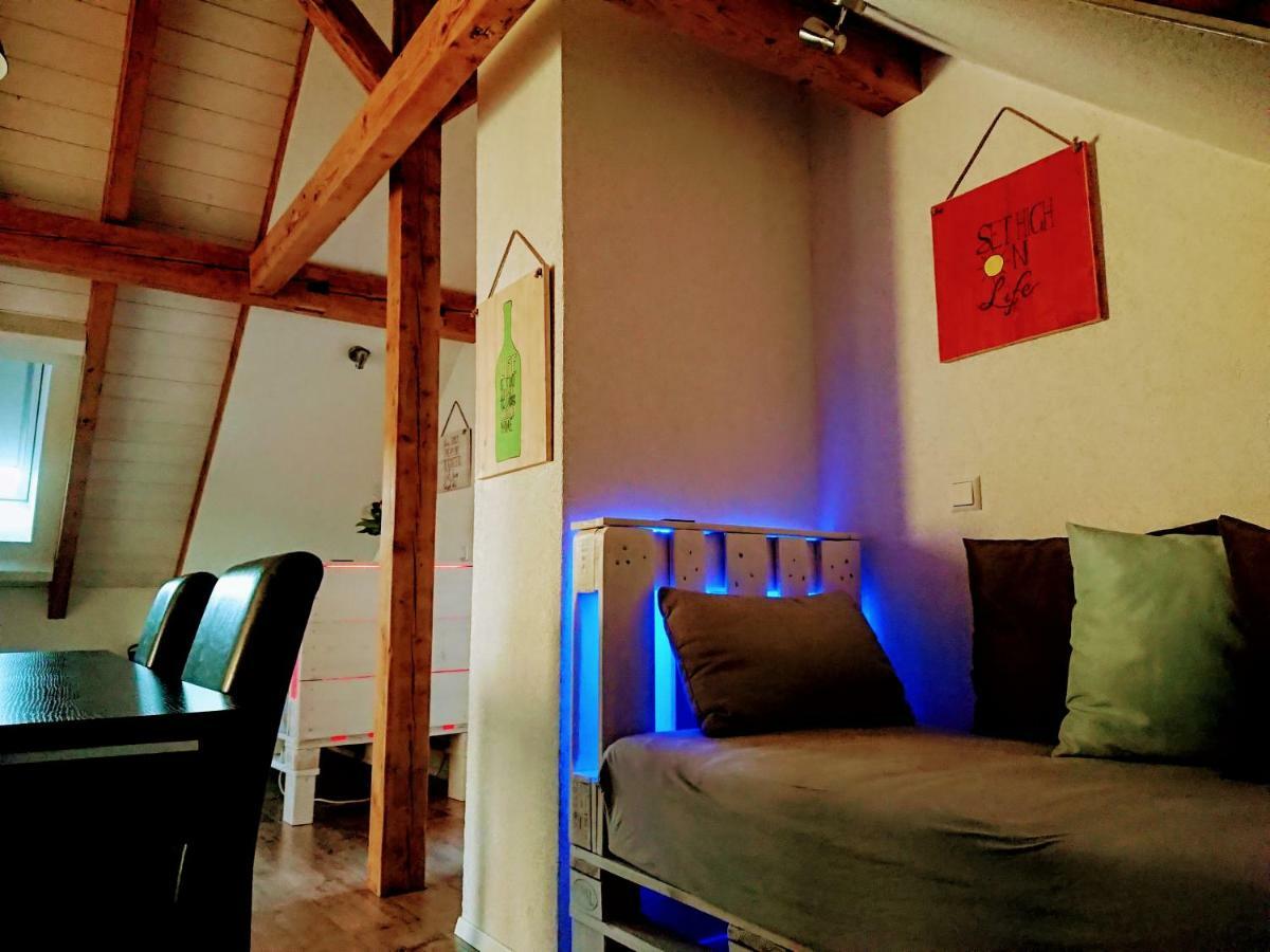 Weinblick Daire Besigheim Dış mekan fotoğraf